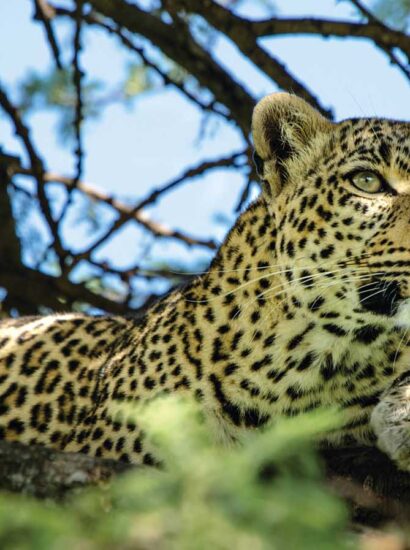 Foto: Great Plains Conservation
