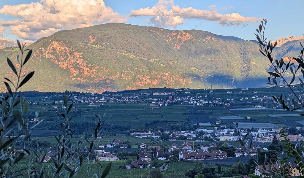 Die Weinberge erstrecken sich von kühlen Höhenlagen bis in sonnenverwöhnte Täler. Foto: Carola Faber