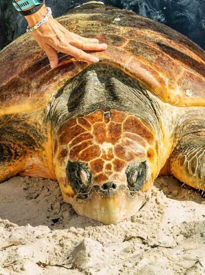 Foto: Larry Blackburn / Florida Keys & Key West