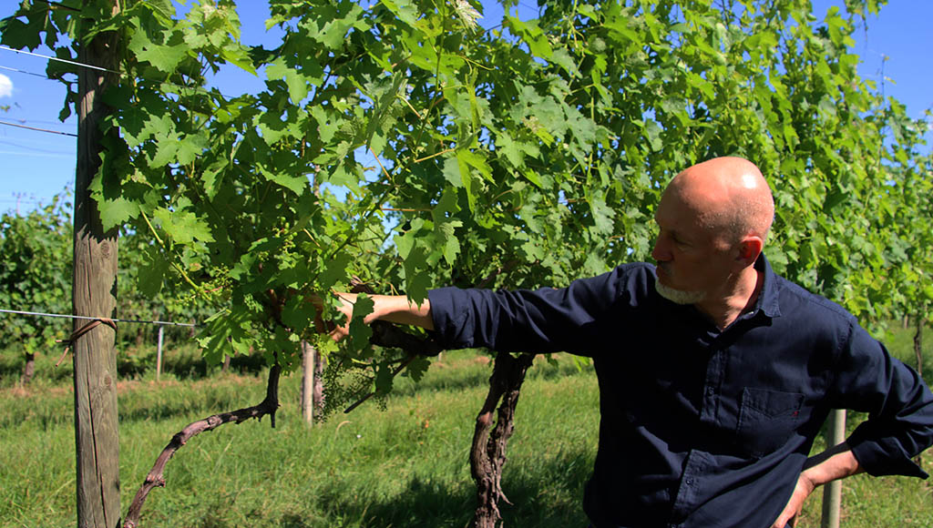 Lorenzo Palla. Foto: Jürgen Sorges