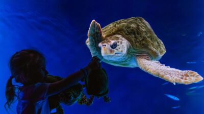 Foto: San Diego Tourism Authority