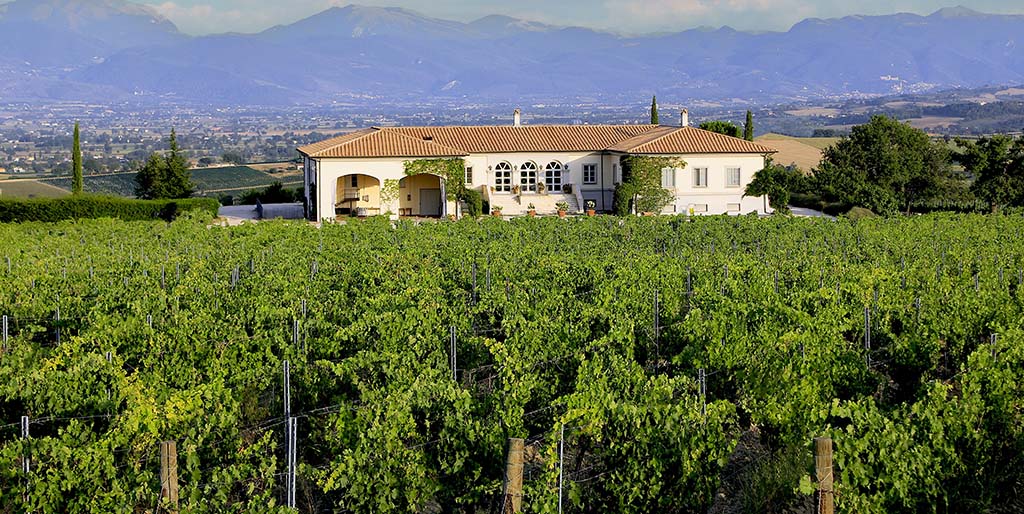 Die Tenuta Brancalupo in Montefalco. Foto: Cantine Lungarotti