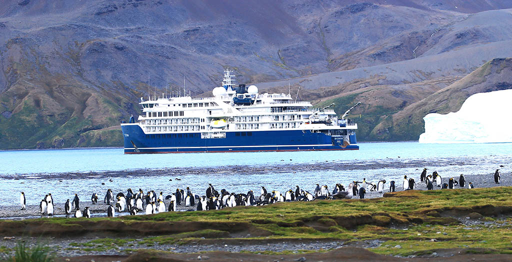 Die SH Diana ankert in Fortuna Bay. Foto: Frank Sistenich