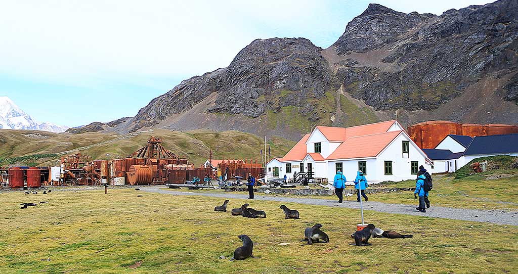 Der Besuch von Grytviken auf Süd Georgien. Foto: Frank Sistenich