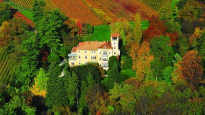 Foto: Tenuta San Leonardo
