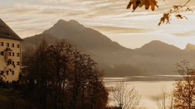 Foto: Amelie Niederbuchner