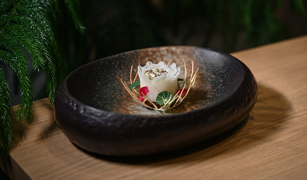 Kalte Vorspeise: Kohlrabi-Kapuziner-Quark-Miso. Foto: Christian Ehrbar